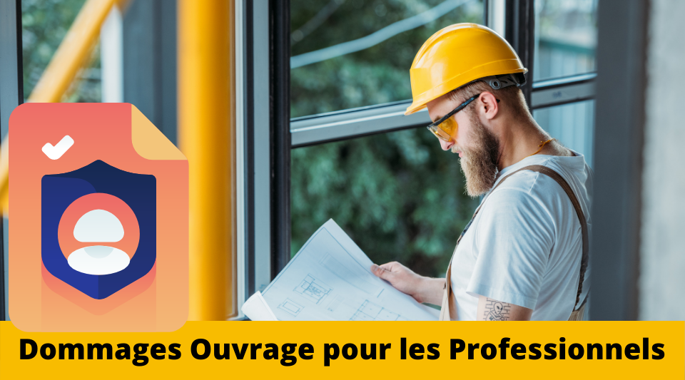 professionnel choisissant une bonne dommages ouvrage